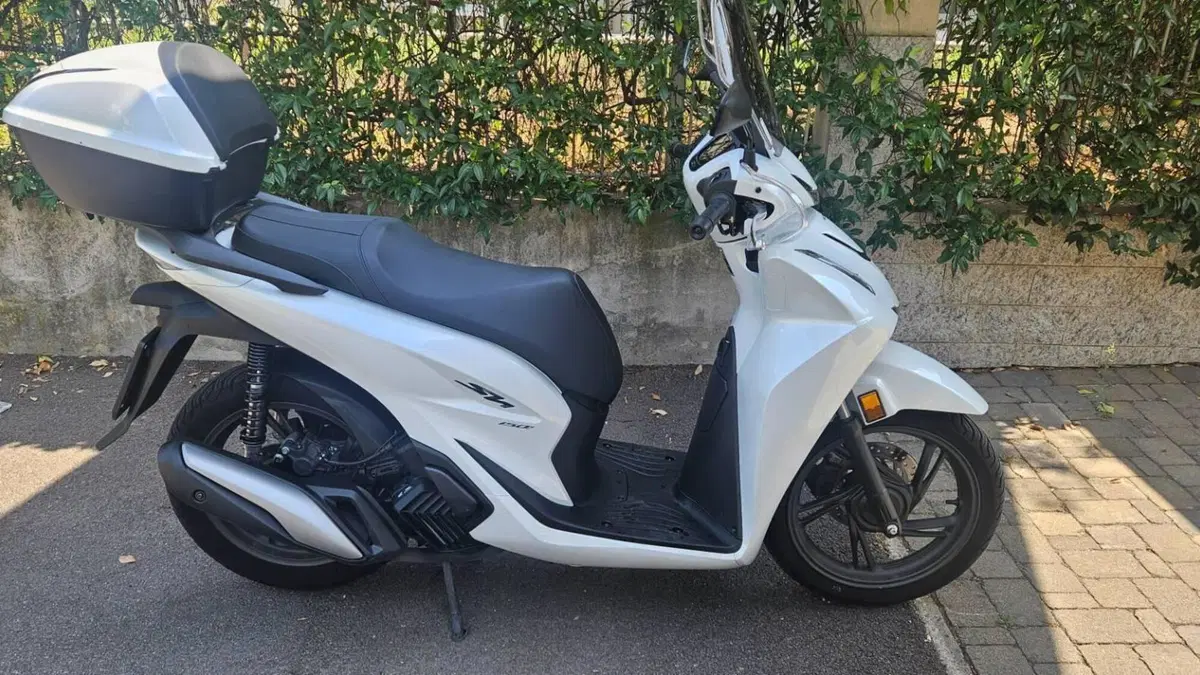 Honda SH 150 (2026)  (3)