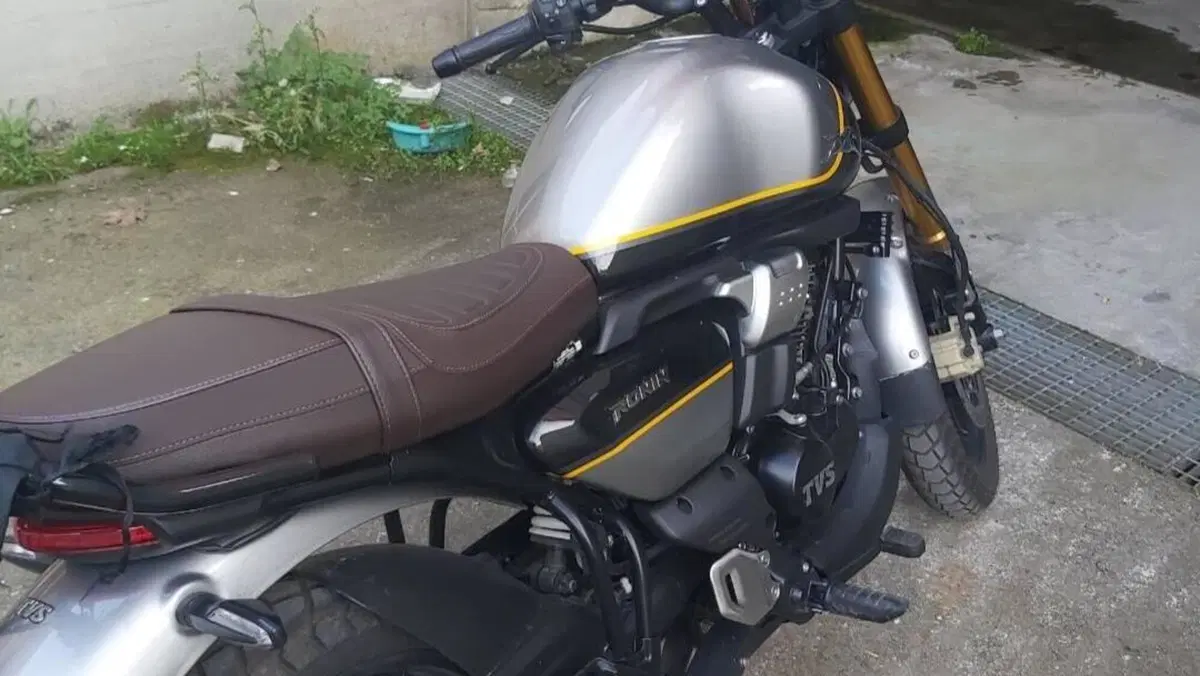 TVS Motor Ronin 250 (2024 - 26)  (2)