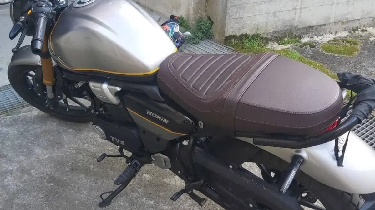 TVS Motor Ronin 250 (2024 - 26)  (3)