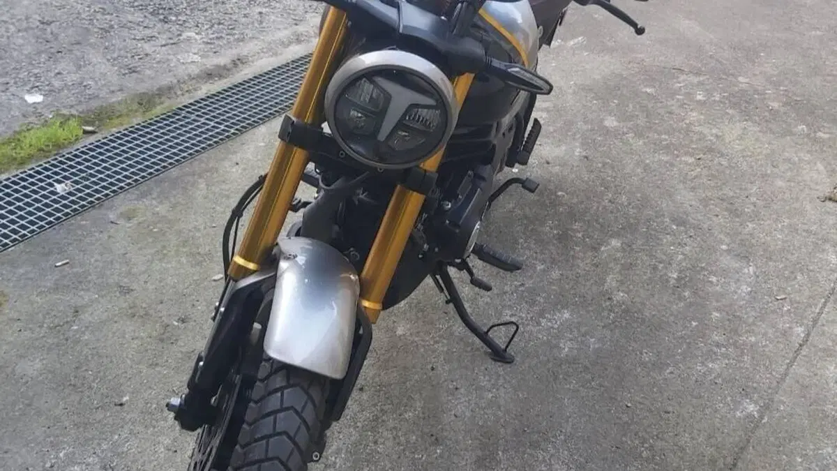 TVS Motor Ronin 250 (2024 - 26)  (4)