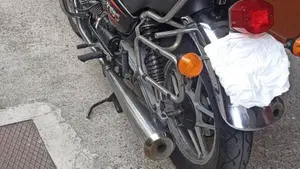 Moto Guzzi   (6)