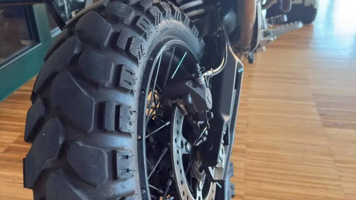 Triumph Tiger 900 Rally Pro (2024 - 26)  (5)