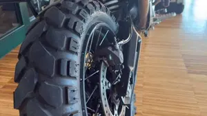 Triumph Tiger 900 Rally Pro (2024 - 26)  (5)