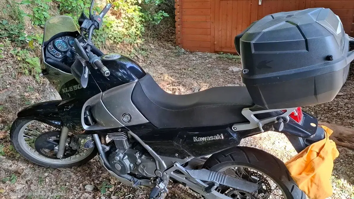 Kawasaki KLE 500 (2001 - 04)  (2)