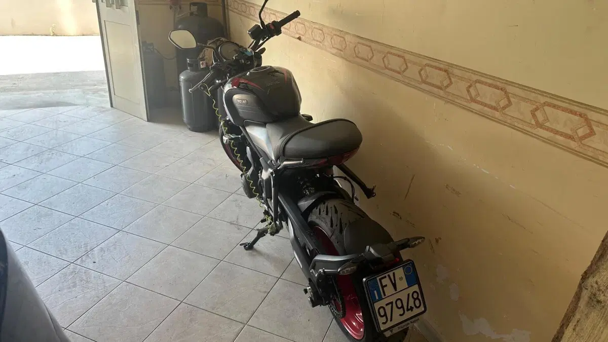 Triumph Trident 660 Triple Tribute Edition (2025 - 26) 