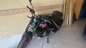 Triumph Trident 660 Triple Tribute Edition (2025 - 26)  (2)