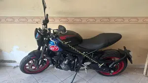 Triumph Trident 660 Triple Tribute Edition (2025 - 26)  (3)