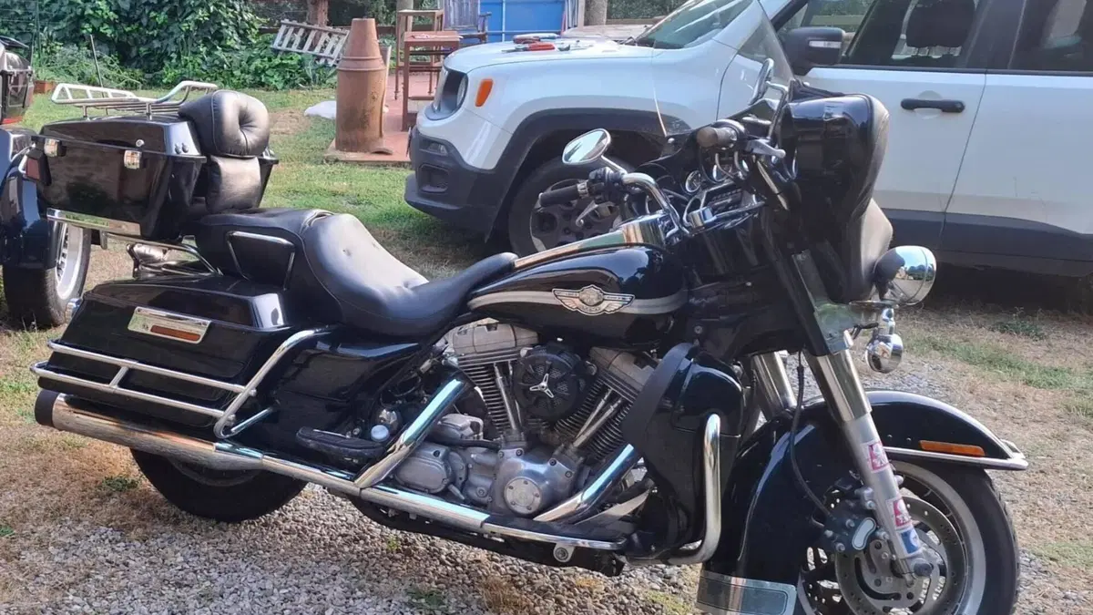 Harley-Davidson 1450 Electra Glide Standard (2002 - 09) - FLHTC  (8)