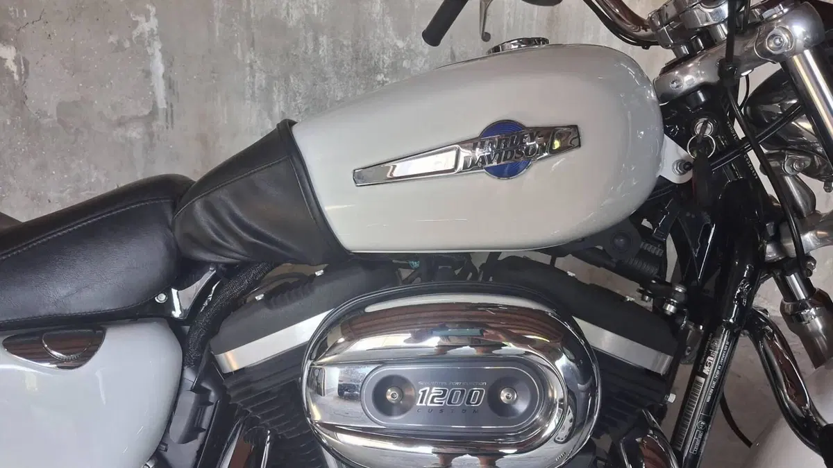 Harley-Davidson 1200 Custom CB (2013 - 17) - XL 1200CB  (2)