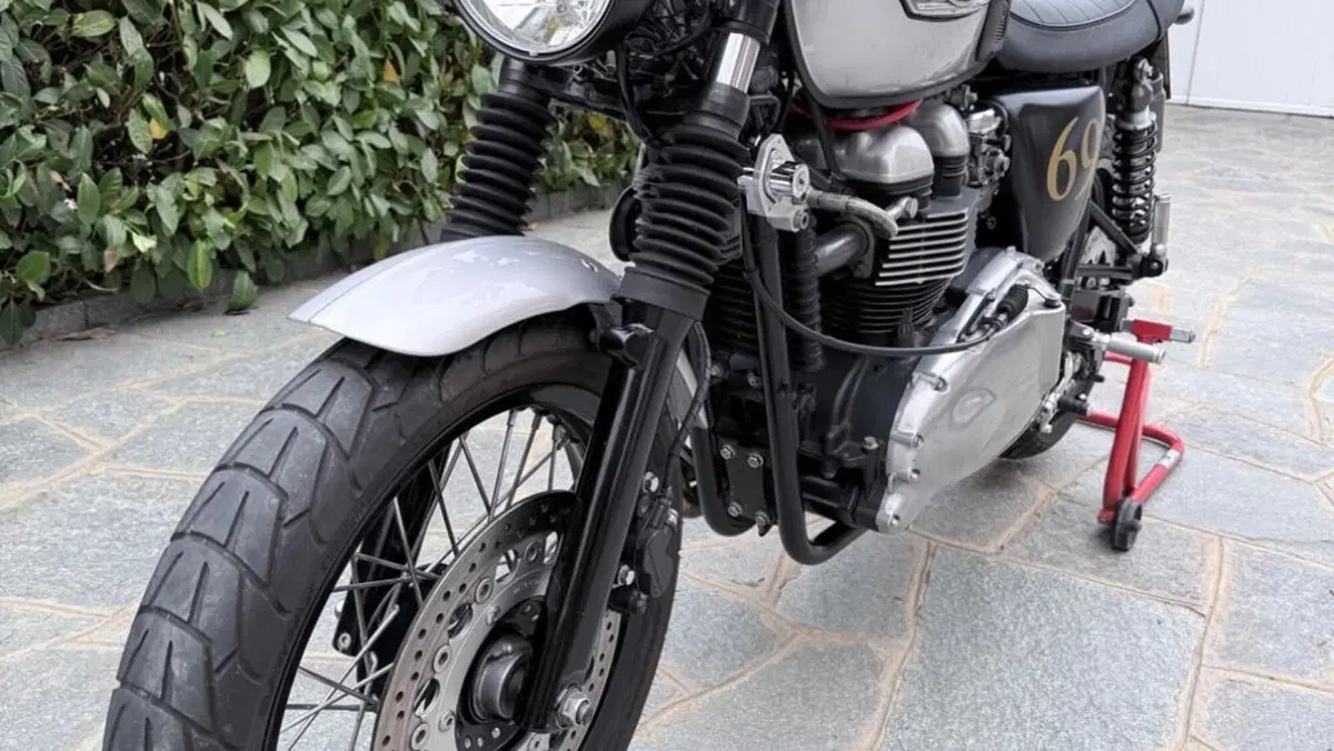 Triumph Thruxton 900 (2004 - 15)  (7)