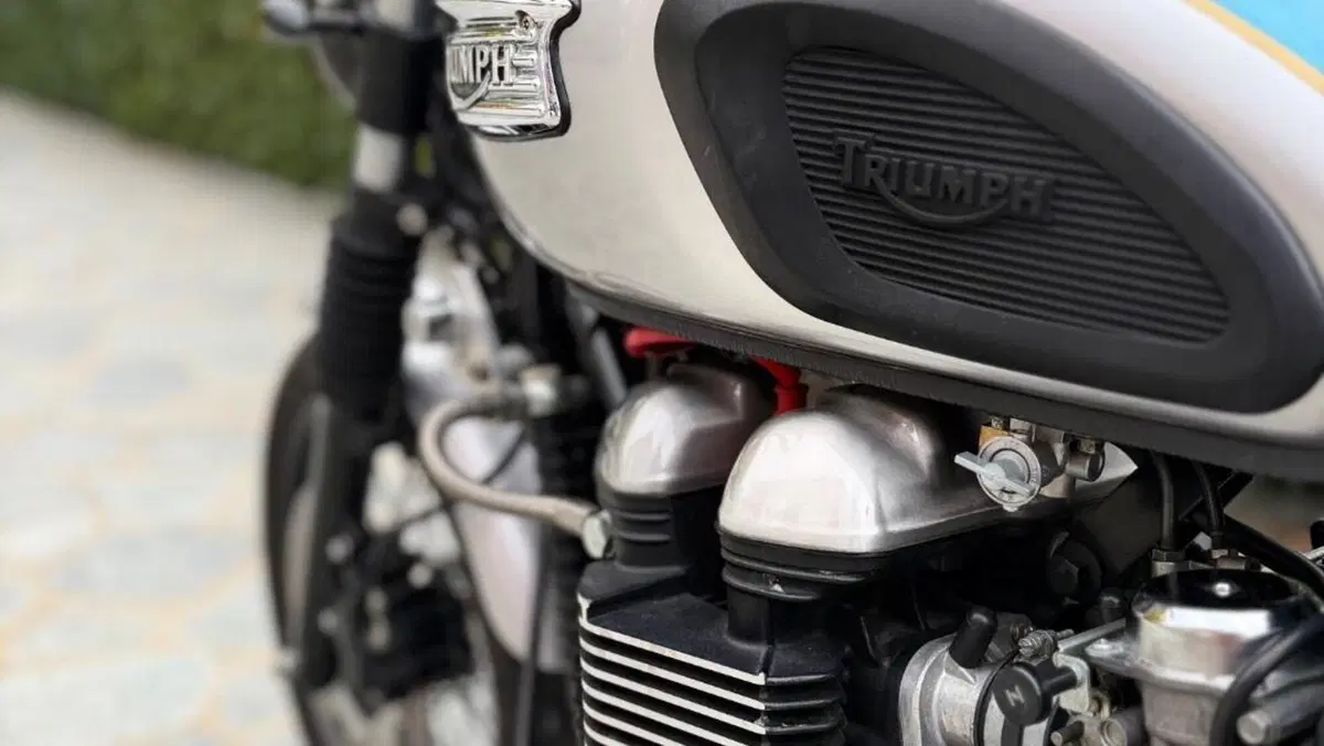 Triumph Thruxton 900 (2004 - 15)  (17)