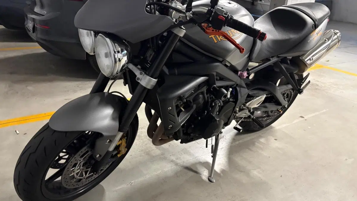 Triumph Street Triple R (2013 - 14)  (5)