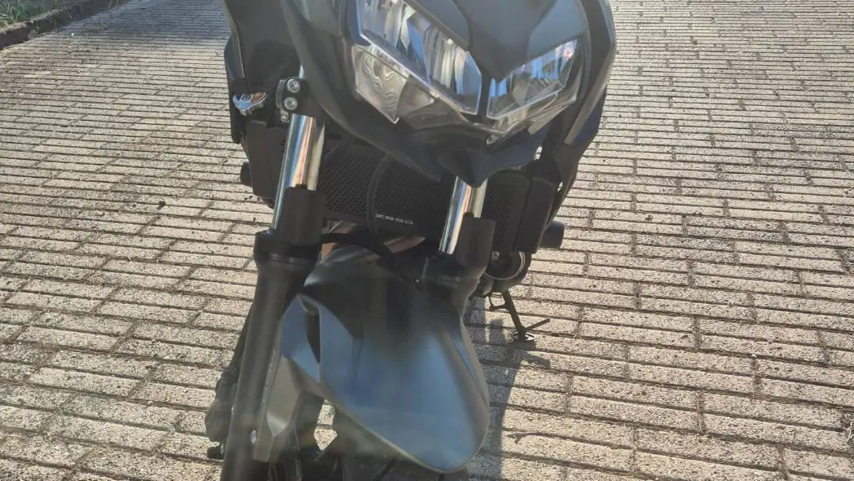 Kawasaki Z 650 (2021 - 24)  (5)