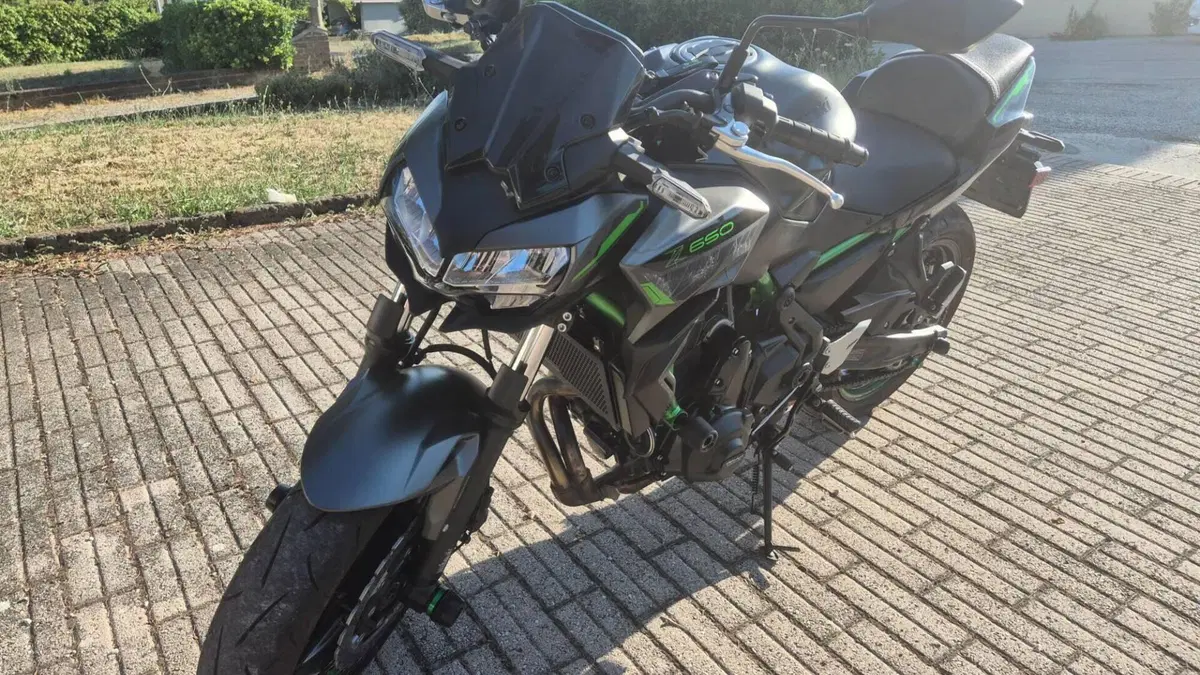 Kawasaki Z 650 (2021 - 24)  (8)