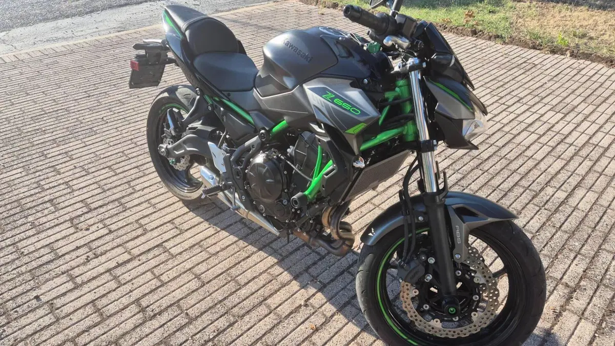 Kawasaki Z 650 (2021 - 24)  (9)