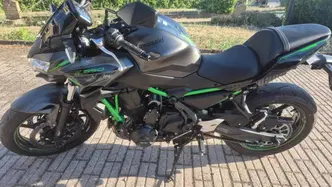 Kawasaki Z 650 (2021 - 24) usata