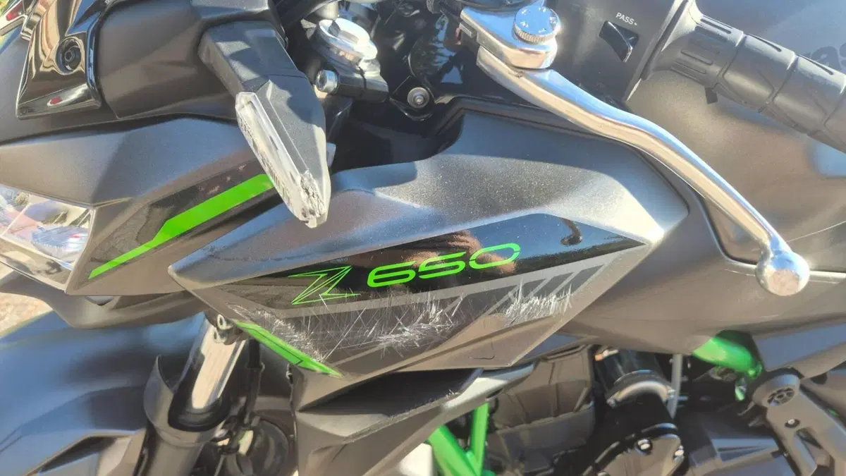 Kawasaki Z 650 (2021 - 24)  (10)