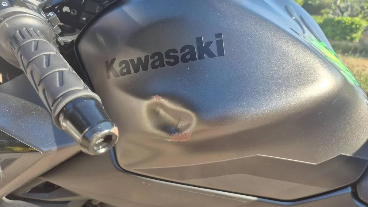Kawasaki Z 650 (2021 - 24)  (2)