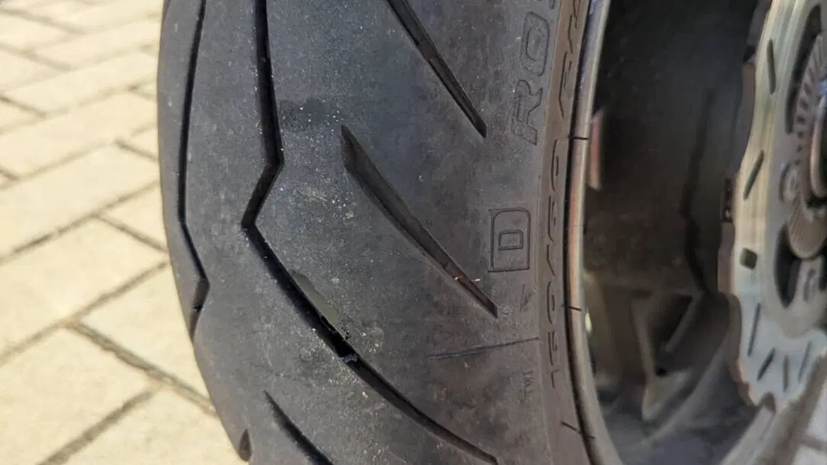 Sym Maxsym TL 508 (2021 - 24)  (2)