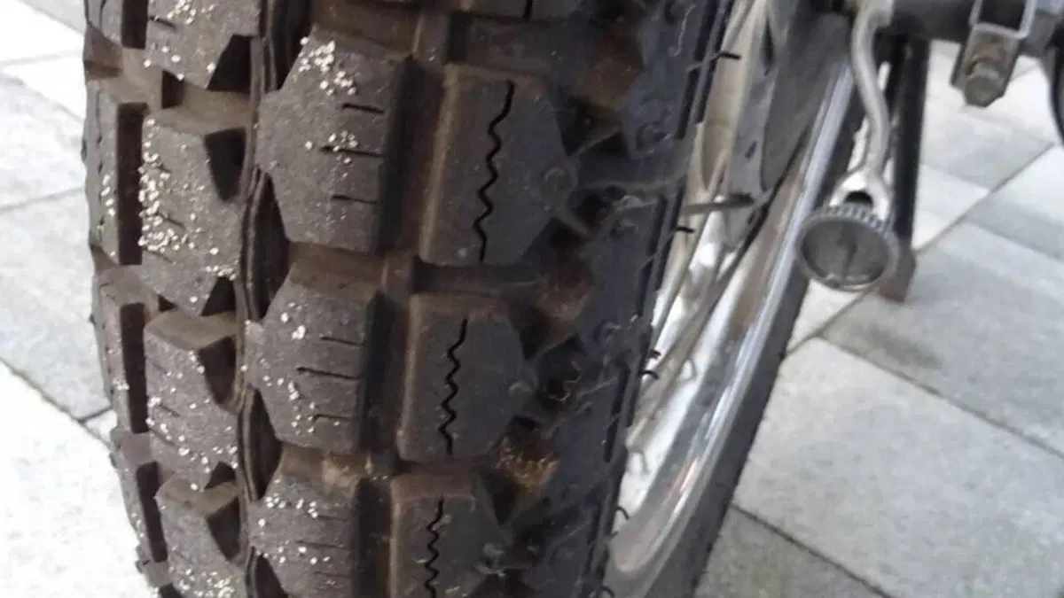 Benelli   (11)