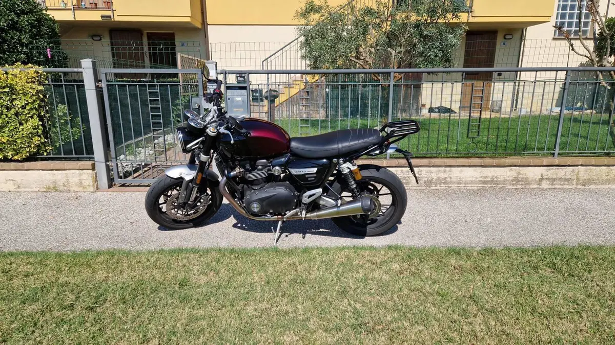 Triumph Speed Twin 1200 Stealth Edition (2024)  (3)