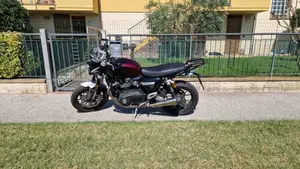 Triumph Speed Twin 1200 Stealth Edition (2024)  (3)