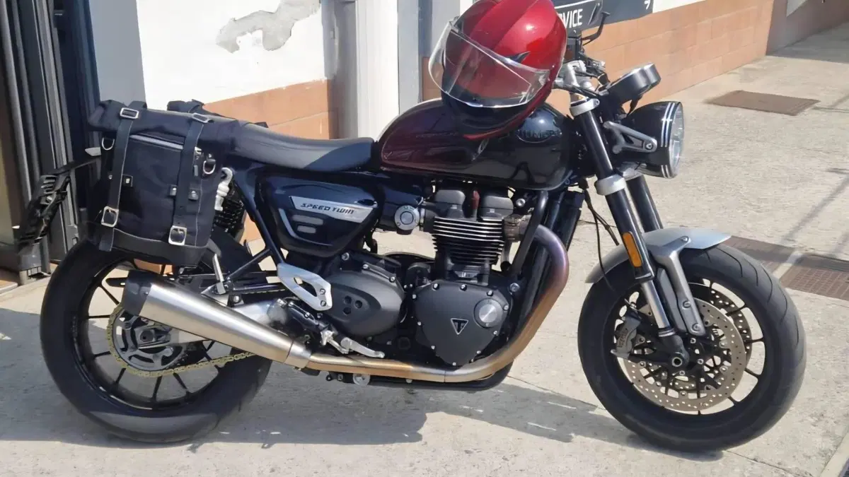 Triumph Speed Twin 1200 Stealth Edition (2024)  (4)