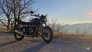 Triumph Speed Twin 1200 Stealth Edition (2024)  (6)