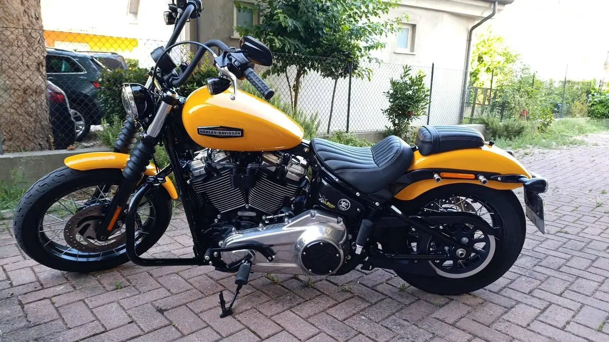 Harley-Davidson Street Bob 117 (2025 - 26) 