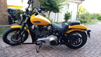Harley-Davidson Street Bob 117 (2025 - 26)