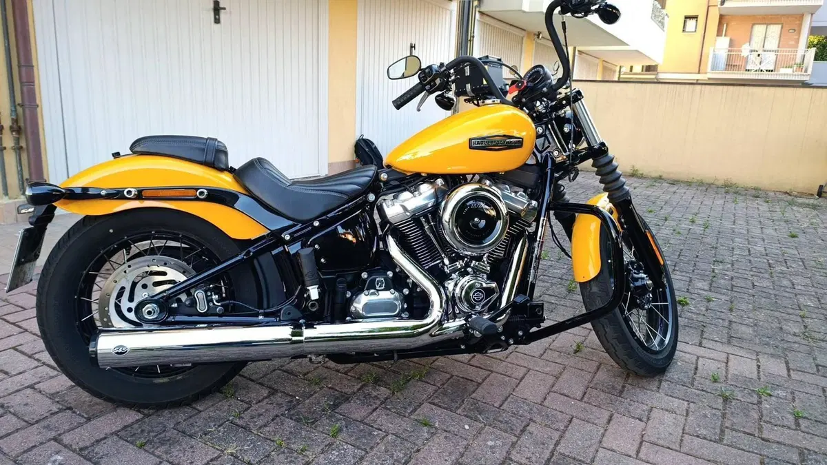 Harley-Davidson Street Bob 117 (2025 - 26)  (3)