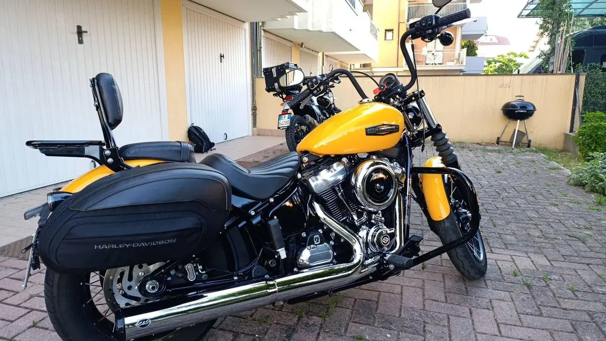Harley-Davidson Street Bob 117 (2025 - 26)  (7)