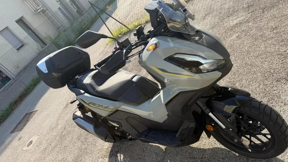 Honda ADV 350 Special Edition (2025 - 26) 