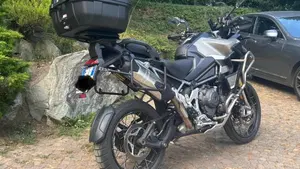Triumph Tiger 1200 Rally Explorer (2024 - 26)  (3)