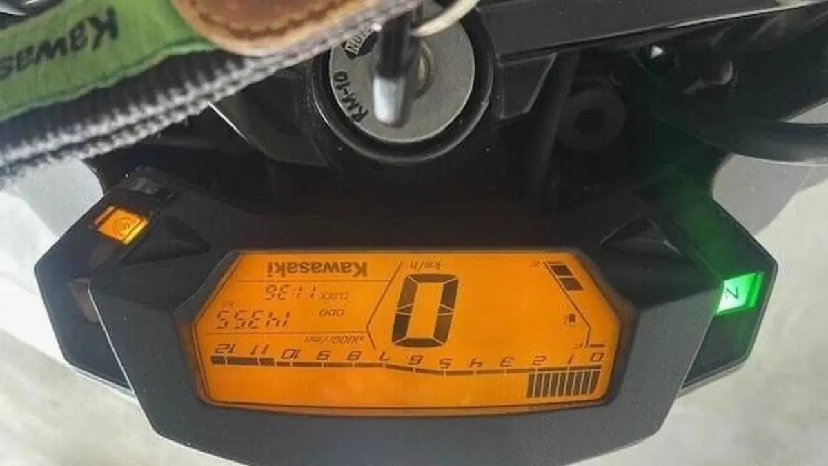 Kawasaki Z 125 (2019 - 20)  (3)