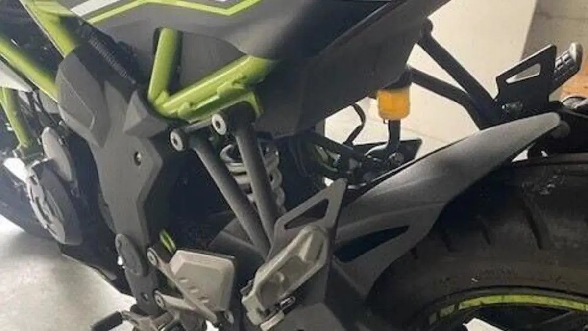 Kawasaki Z 125 (2019 - 20)  (4)