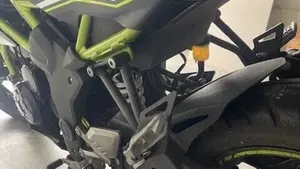 Kawasaki Z 125 (2019 - 20)  (4)
