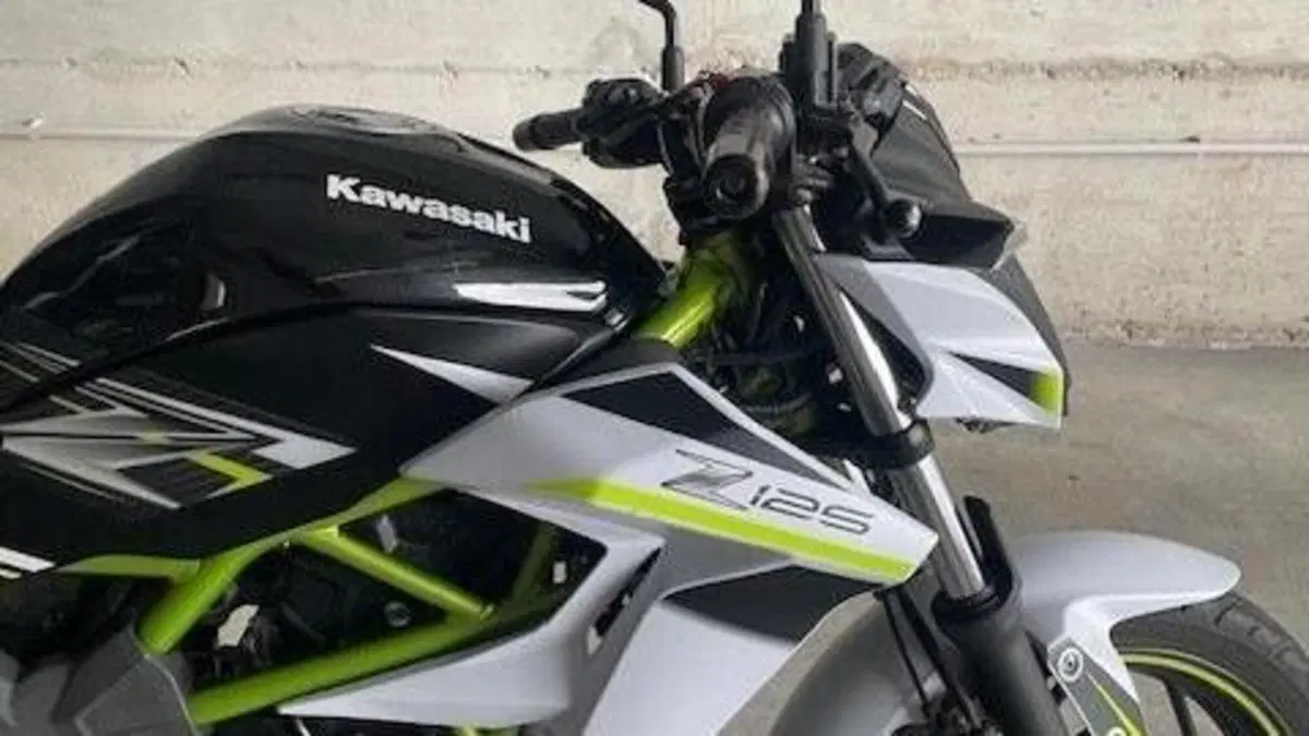 Kawasaki Z 125 (2019 - 20)  (5)