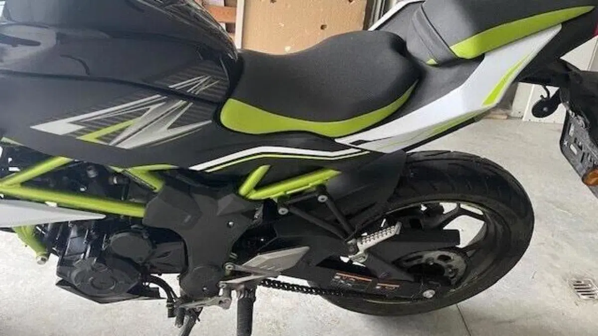 Kawasaki Z 125 (2019 - 20)  (6)