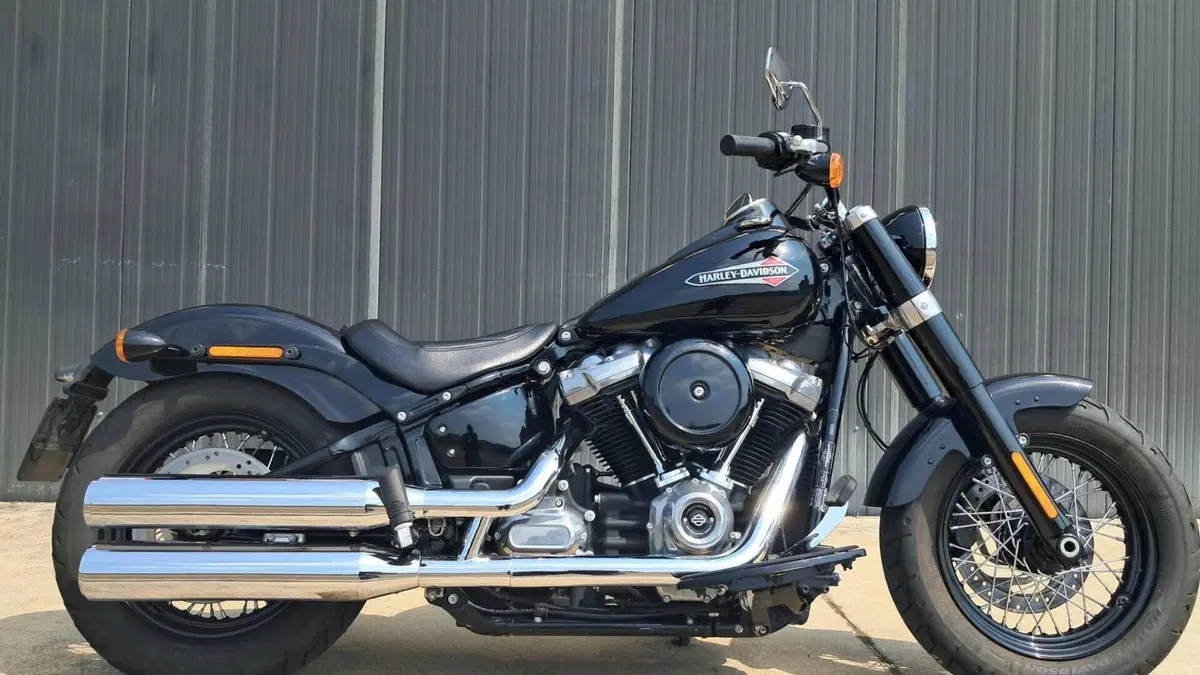 Harley-Davidson 107 Slim (2018 - 20) - FLSL 