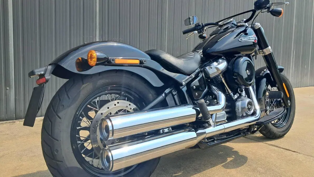 Harley-Davidson 107 Slim (2018 - 20) - FLSL  (2)