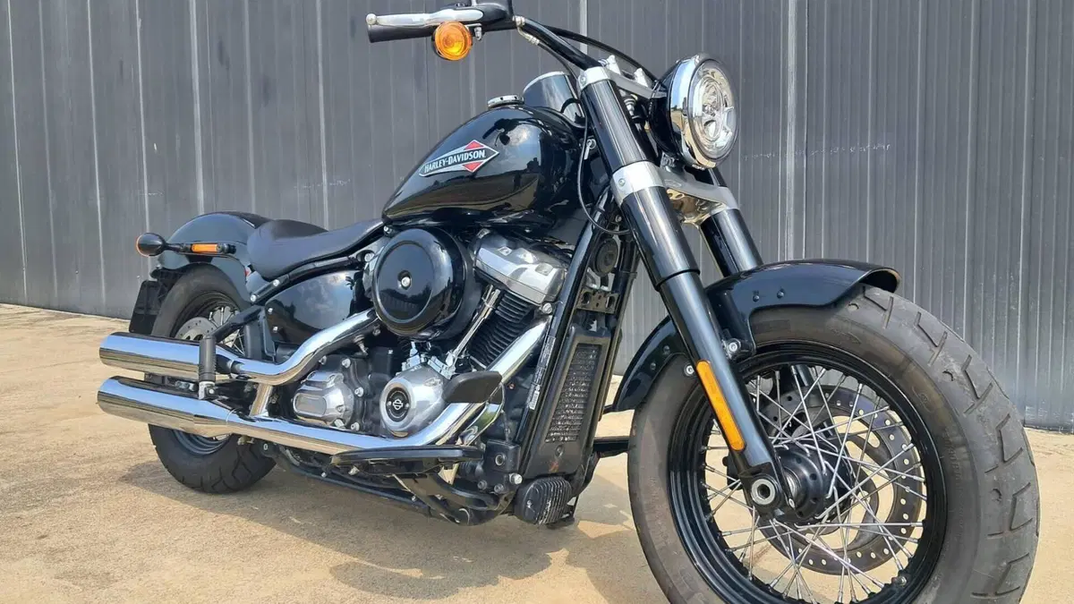 Harley-Davidson 107 Slim (2018 - 20) - FLSL  (3)