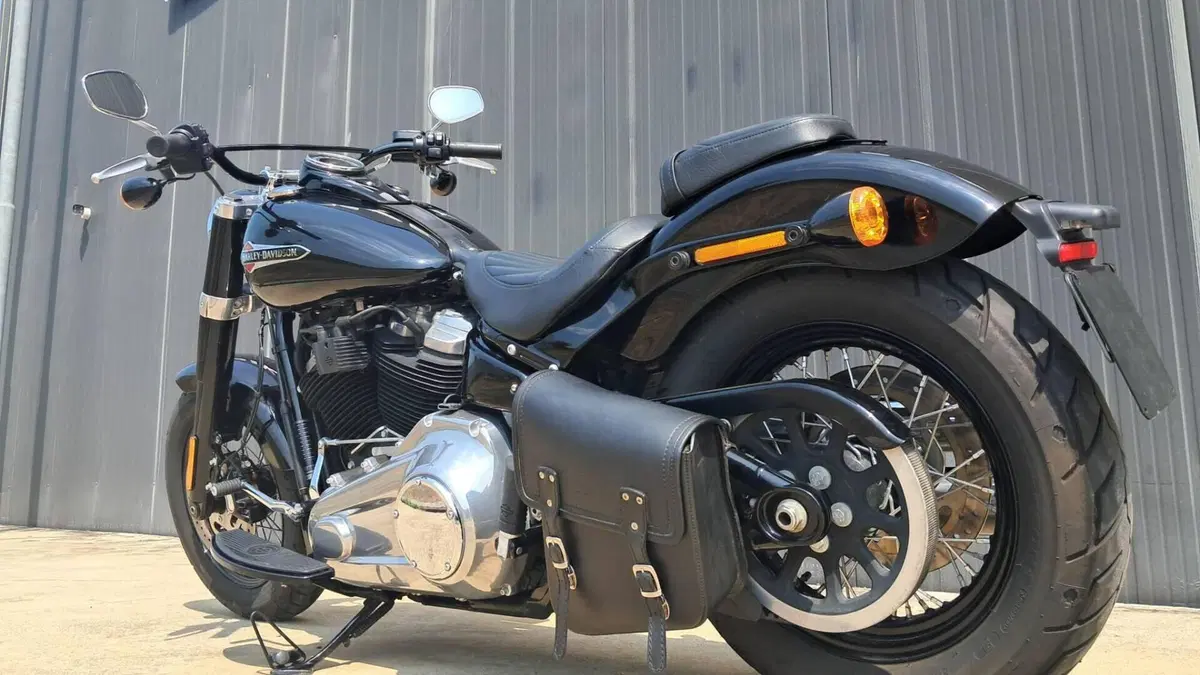 Harley-Davidson 107 Slim (2018 - 20) - FLSL  (4)