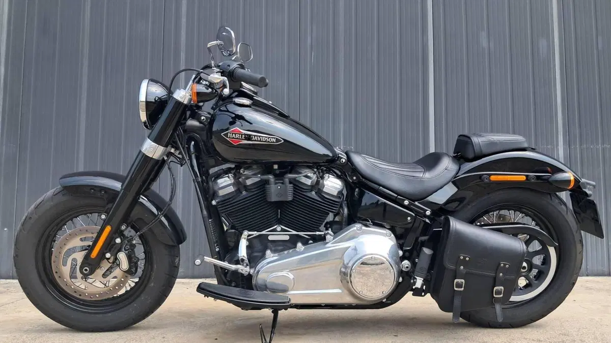 Harley-Davidson 107 Slim (2018 - 20) - FLSL  (6)
