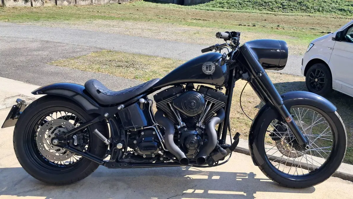 Harley-Davidson 1584 Custom (2008 - 09) - FXSTC 