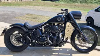 Harley-Davidson 1584 Custom (2008 - 09) - FXSTC usata
