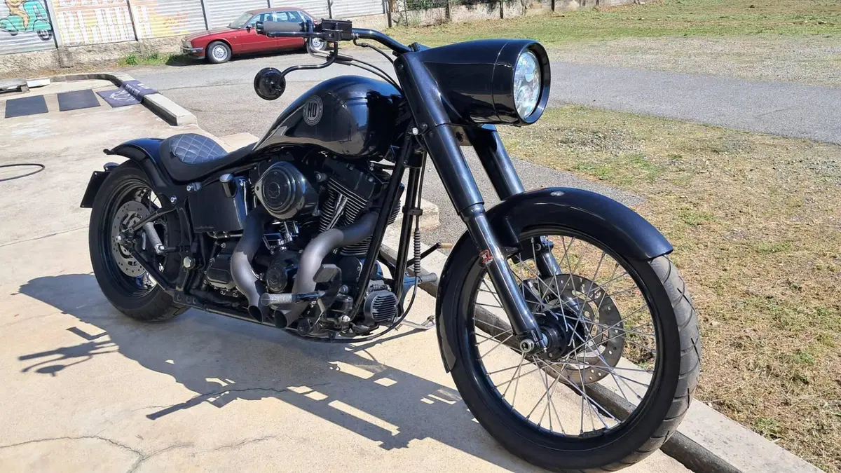 Harley-Davidson 1584 Custom (2008 - 09) - FXSTC  (2)