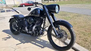 Harley-Davidson 1584 Custom (2008 - 09) - FXSTC  (2)
