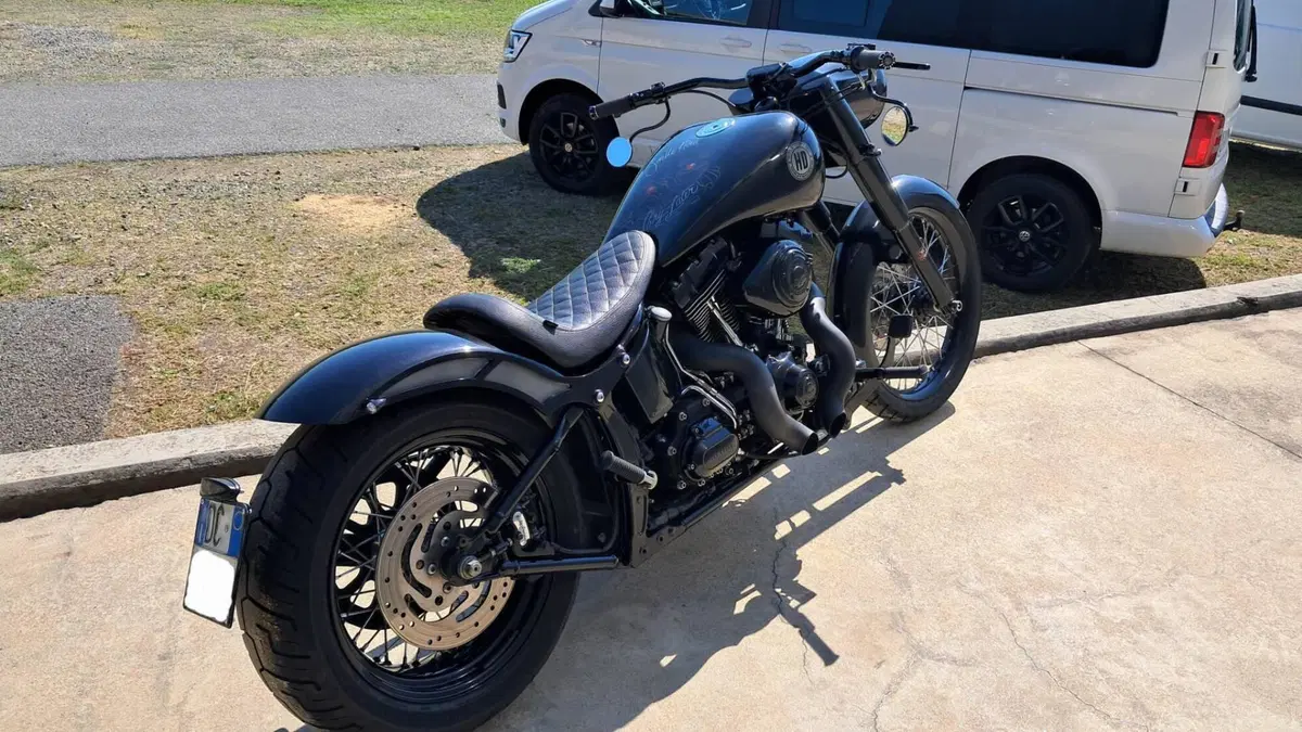 Harley-Davidson 1584 Custom (2008 - 09) - FXSTC  (3)