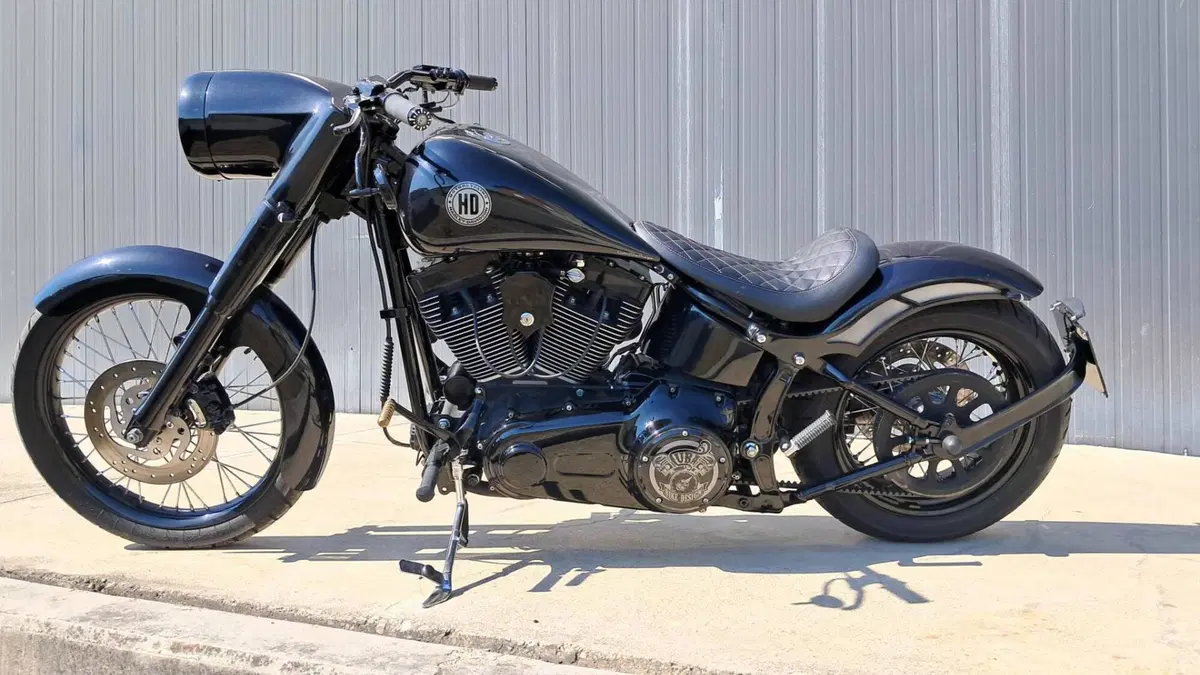 Harley-Davidson 1584 Custom (2008 - 09) - FXSTC  (6)